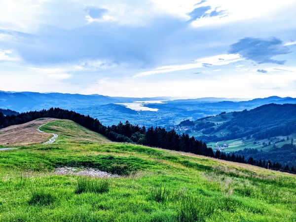 Blick nach Schmerikon und den Zürichsee auf dem Weg auf den Tanzboden am 21. Juli 2020  (Foto: Thomas Müller)