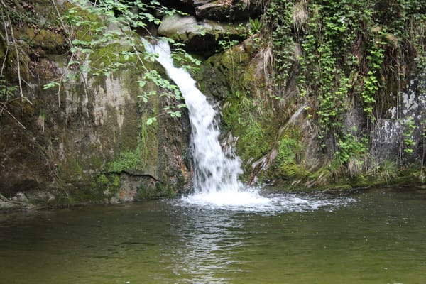 FORSCHERKISTE BACH an der Ranzach und am Aabach